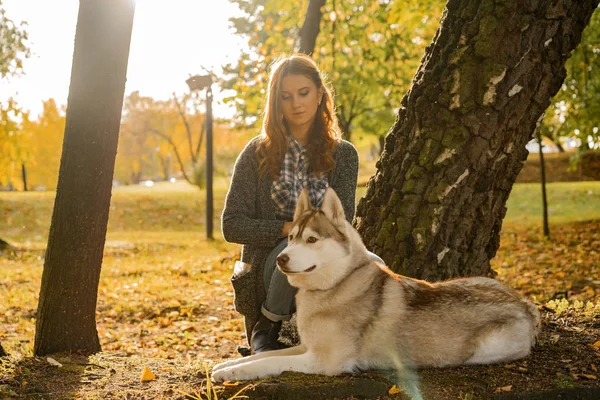 Jovem Fêmea Parque Outono Caminha Com Cão Husky — Fotografia de Stock