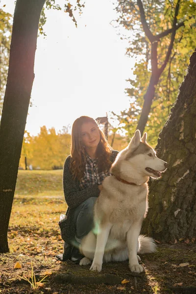 Jovem Fêmea Parque Outono Caminha Com Cão Husky — Fotografia de Stock