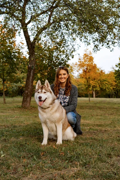 Young Female Autumn Park Walks Husky Dog — Stock Photo, Image