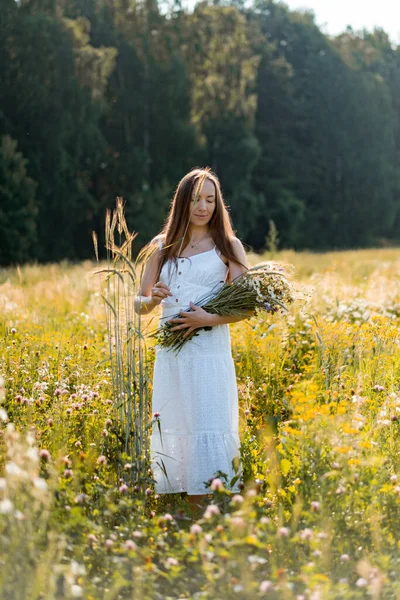 Young Beautiful Woman Long Hair White Dress Hat Yellow Field — Stock Photo, Image