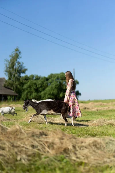 Junge Schöne Frau Dorf Streichelt Ziegen — Stockfoto