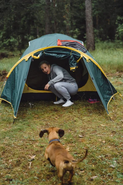 Eine Junge Frau Mit Hund Auf Einem Campingausflug Konzept Des — Stockfoto