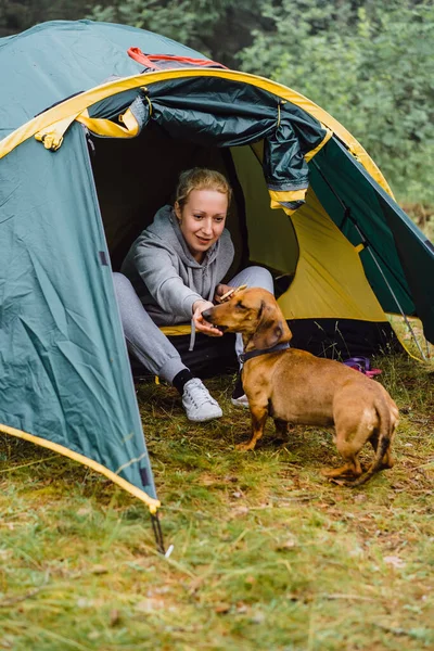 Eine Junge Frau Mit Hund Auf Einem Campingausflug Konzept Des — Stockfoto