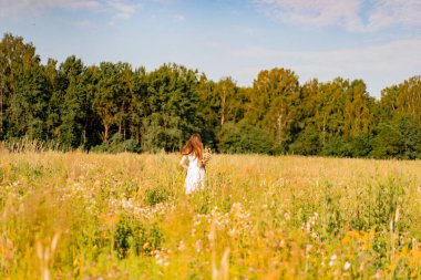 Çavdar ve buğday tarlaları arasında beyaz elbiseli, şapkalı, uzun saçlı genç ve güzel bir kadın. Kırsal tarzda uzun saçlı, çiçekli bir tarlada beyaz bir elbise giyen bir kavram.