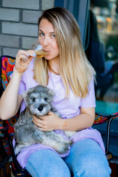 Joven Hermosa Mujer Con Zwerg Schnauzer Cachorro — Foto de Stock