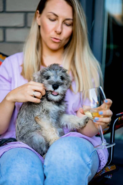 Zwerg Schnauzer Köpeği Olan Güzel Bir Kadın — Stok fotoğraf
