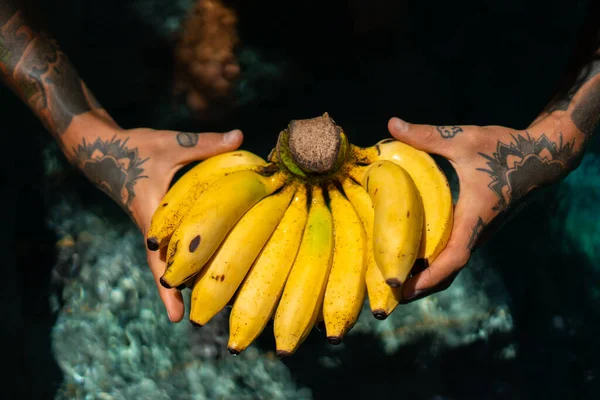 Frutas Tropicales Plátanos Manos Con Tatuajes —  Fotos de Stock