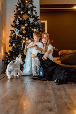 Mutlu çocuklar Noel ağacında oynar ve eğlenir.,