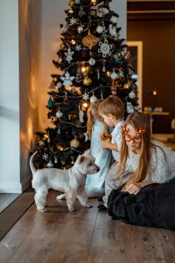 Mutlu çocuklar Noel ağacında oynar ve eğlenir.,