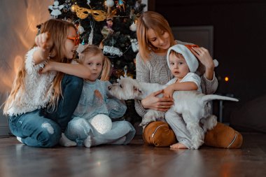 Mutlu aile Noel ağacının yanında eğleniyor, Noel 'de. Çocuklu bir anne ve Noel ağacında bir köpek. Kız ve erkek kardeşler, üç çocuk.