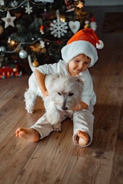 Noel ağacının yanında komik şapkalı küçük çocuk. Çocukluk ve