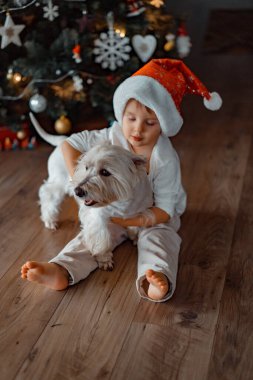 Noel ağacının yanında komik şapkalı küçük çocuk. Çocukluk ve