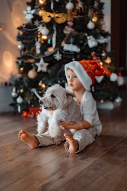 Noel ağacının yanında komik şapkalı küçük çocuk. Çocukluk ve