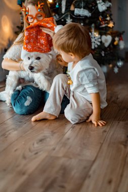 Mutlu çocuklar Noel ağacında oynar ve eğlenir.,
