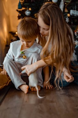 Noel ağacının yanındaki çocuklar, erkek ve kız kardeşler evcil bir fareyle oynuyorlar. Noel tatili. Mutlu Noeller ve mutlu yıllar konsepti.