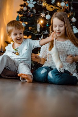 Noel ağacının yanındaki çocuklar, erkek ve kız kardeşler evcil bir fareyle oynuyorlar. Noel tatili. Mutlu Noeller ve mutlu yıllar konsepti.