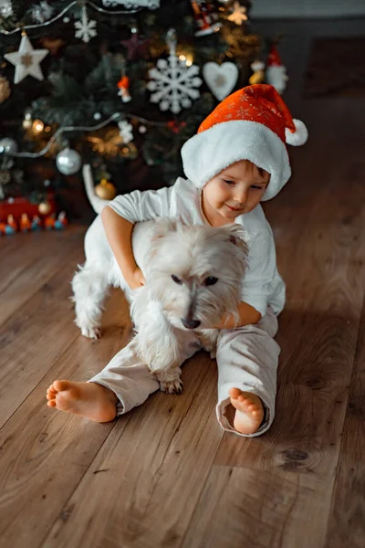 Little Boy Funny Hat Christmas Tree Childhood — Stock Photo, Image