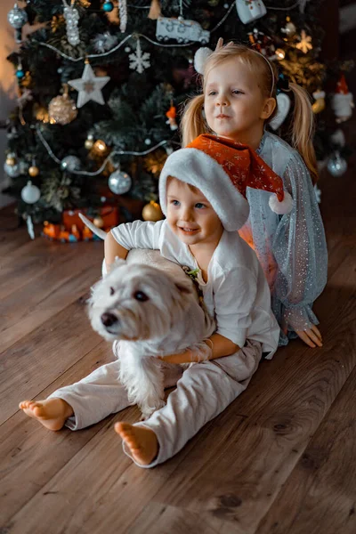 Feliz Crianças Irmãos Jogar Divertir Pela Árvore Natal — Fotografia de Stock