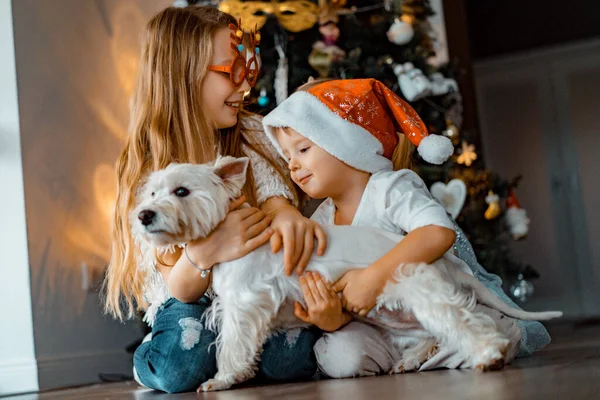 Mutlu çocuklar Noel ağacında oynar ve eğlenir.,