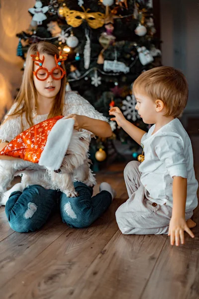 Feliz Crianças Irmãos Jogar Divertir Pela Árvore Natal — Fotografia de Stock