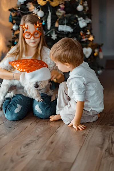 Šťastné Děti Sourozenci Hrát Bavit Vánočního Stromečku — Stock fotografie