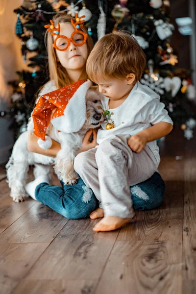 Ευτυχισμένα Παιδιά Αδέλφια Παίζουν Και Διασκεδάσουν Από Χριστουγεννιάτικο Δέντρο — Φωτογραφία Αρχείου