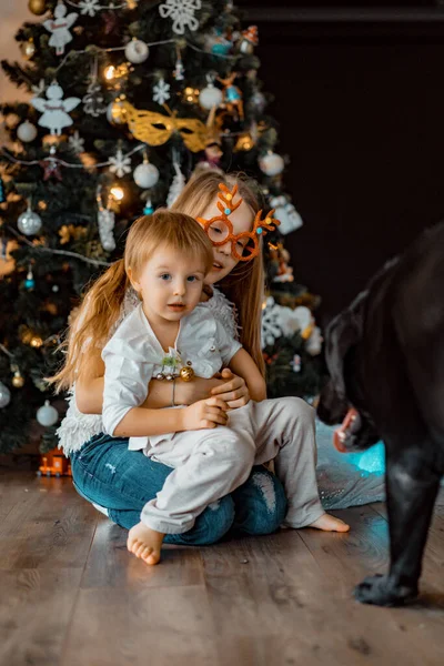 Feliz Crianças Irmãos Jogar Divertir Pela Árvore Natal — Fotografia de Stock