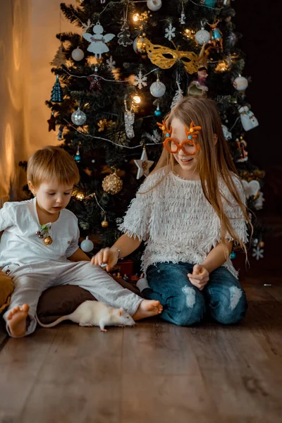 Ευτυχισμένα Παιδιά Αδέλφια Παίζουν Και Διασκεδάσουν Από Χριστουγεννιάτικο Δέντρο — Φωτογραφία Αρχείου