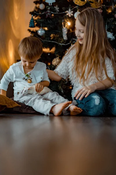 Παιδιά Κοντά Στο Χριστουγεννιάτικο Δέντρο Αδελφός Και Αδελφή Παίζουν Έναν — Φωτογραφία Αρχείου