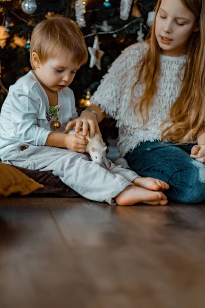 Children Christmas Tree Brother Sister Playing Tame Rat Christmas Holidays — Stock Photo, Image