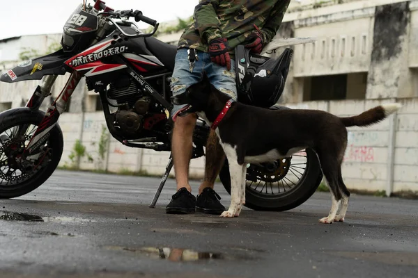 Mann Mit Hund Und Motorrad Lebensstil Hundentreue — Stockfoto