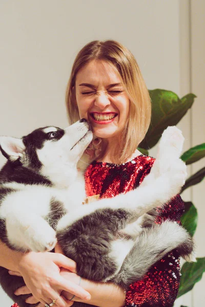 Jeune Femme Tient Chiot Husky Dans Ses Bras — Photo