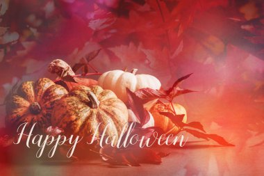 Cadılar Bayramı afiş kabaklar ve bir teklif 'Happy Halloween' ile. Sosyal medya hesapları ve Bloglar için büyük.