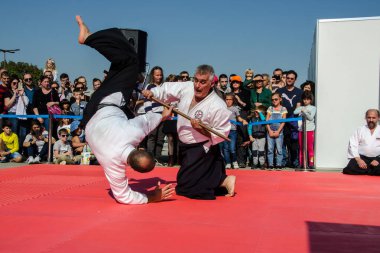 Aikido açık hava antrenmanı