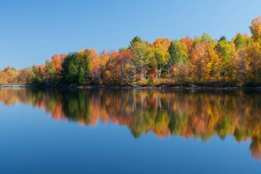 Göle düşen yapraklar. 