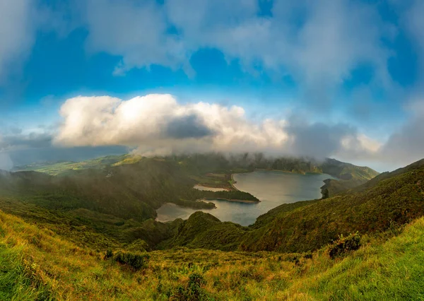 Sunset Forest Miguel Island Azores — Stock Photo, Image