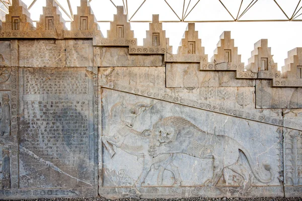 Bas Relief Lion Bull Περσέπολη Ιράν — Φωτογραφία Αρχείου