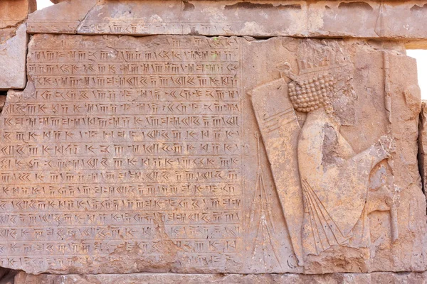 Старий Перський Клинопис Біля Безсмертного Перського Солдата Персеполісі Іран — стокове фото