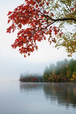 Bon Echo Gölü kıyısında sonbahar