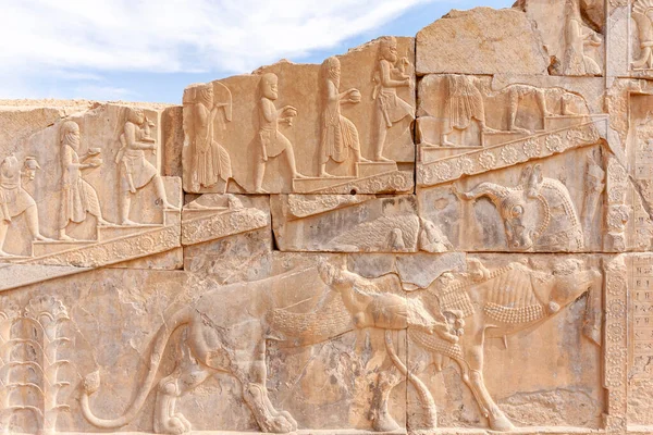 Ахеменидские Персидские Солдаты Стене Персеполис Иран — стоковое фото