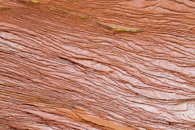 Kanada 'nın Prens Edward Adası' ndaki Cavendish plajında, düz kırmızı kumtaşı, erozyon yıllarının çizgilerini ortaya çıkarmak için rüzgarlar ve okyanus akıntıları tarafından aşınmıştır.
