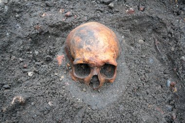 Hala yarısı toprağa gömülü eski Antik kafatası ile arkeolojik kazı.
