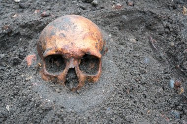 Hala yarısı toprağa gömülü eski Antik kafatası ile arkeolojik kazı.