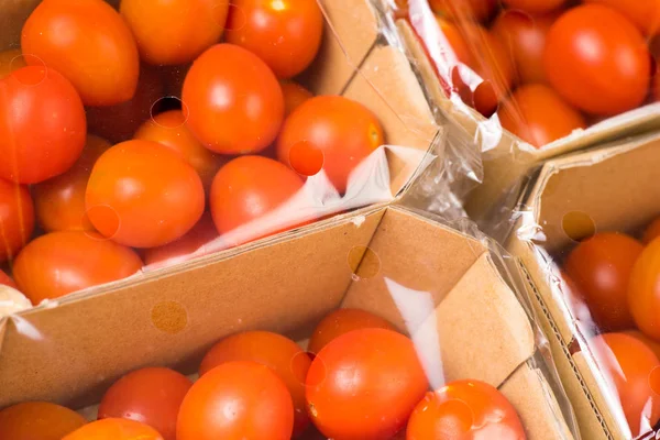 完熟チェリー トマト ボックス プラスチックのパッケージをクローズ アップ 白い背景で隔離 — ストック写真