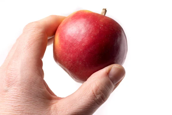 Causasian Ręka Trzyma Jabłko Białym Tle — Zdjęcie stockowe