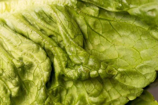 Nahaufnahme Von Knusprigen Bio Salatblättern — Stockfoto