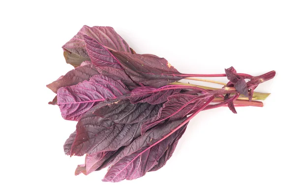 Organikus Vörös Amaranth Saláta Levelek Elszigetelt Fehér Alapon — Stock Fotó