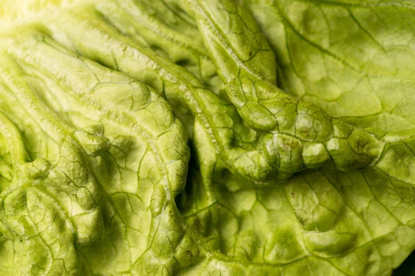 Nahaufnahme Von Knusprigen Bio Salatblättern — Stockfoto