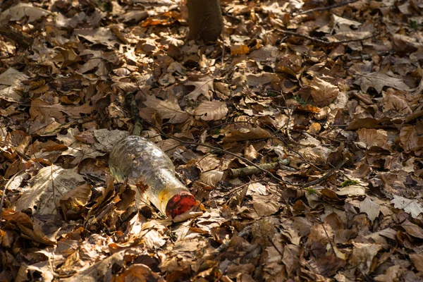 玻璃瓶子 垃圾扔进森林的叶子覆盖的底部 环境混乱 — 图库照片