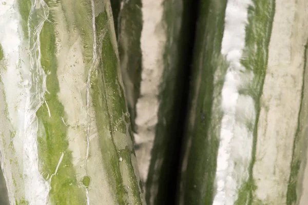 Bunch Cucumber Wrapped Plastic Films Close Background — Stock Photo, Image